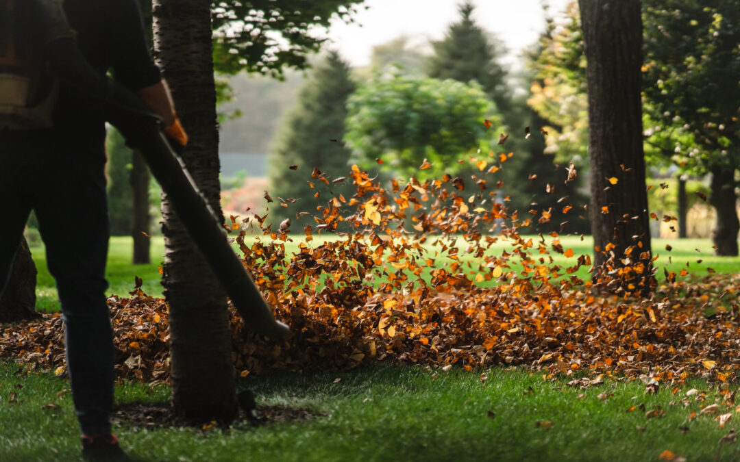 The Invisible Intruder: Navigating the Surge of Seasonal Noise Pollution